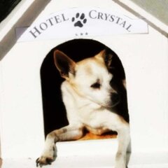 Hotel Crystal Римини с домашними животными