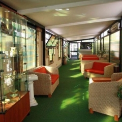 Hotel Villa D'Amato интерьер отеля фото 3