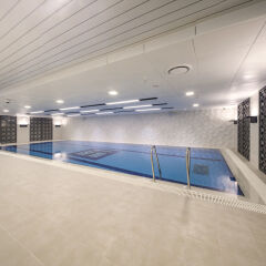 Tmark Grand hotel Myeongdong с домашними животными
