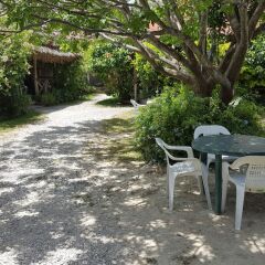 Отель Ocho Rios Getaway Villa at The Palms Ямайка, Монастырь - отзывы, цены и фото номеров - забронировать отель Ocho Rios Getaway Villa at The Palms онлайн фото 4