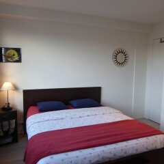 Отель B&B Sur Le Quai Бельгия, Брюссель - отзывы, цены и фото номеров - забронировать отель B&B Sur Le Quai онлайн комната для гостей фото 4