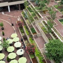 Отель Holiday Inn Washington-Capitol США, Вашингтон - отзывы, цены и фото номеров - забронировать отель Holiday Inn Washington-Capitol онлайн