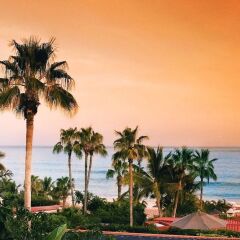 Отель Family&Groups Steps from Beach, Villa Oceano, 4 BR Мексика, Сан-Хосе-дель-Кабо - отзывы, цены и фото номеров - забронировать отель Family&Groups Steps from Beach, Villa Oceano, 4 BR онлайн пляж