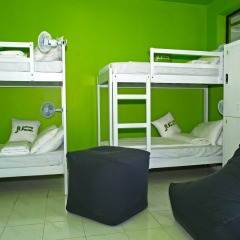 Отель JUCE Dorm детские мероприятия