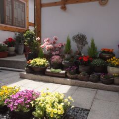 Отель Dowonjeong Healing House Южная Корея, Сеул - отзывы, цены и фото номеров - забронировать отель Dowonjeong Healing House онлайн фото 3