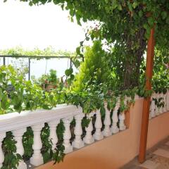 Отель Vila Alvin