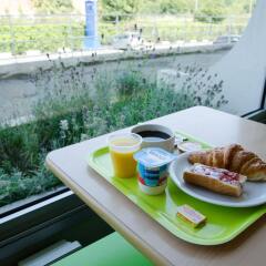 Отель ibis Budget Aeroport le Bourget Garonor в номере фото 2