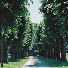 Отель Residenze Temporanee Парма фото 6