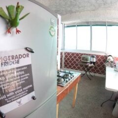Отель Hostal Mazatlan с домашними животными
