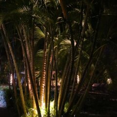 Отель Villa Tulum Hotel Италия, Рим - отзывы, цены и фото номеров - забронировать отель Villa Tulum Hotel онлайн фото 11
