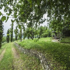 Отель Relais Villa Gozzi B&B Италия, Лимена - отзывы, цены и фото номеров - забронировать отель Relais Villa Gozzi B&B онлайн фото 12