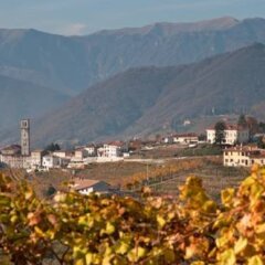 Hotel Vecchio Municipio Вальдоббьадене фото 3