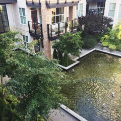 Отель Luxury two bedroom apartment at UBC Канада, Аптаун - отзывы, цены и фото номеров - забронировать отель Luxury two bedroom apartment at UBC онлайн