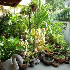 Отель Don Muang Boutique House Бангкок