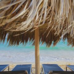 Отель Hideaway at Royalton Punta Cana - All Inclusive -Adults Only Доминикана, Пунта Кана - отзывы, цены и фото номеров - забронировать отель Hideaway at Royalton Punta Cana - All Inclusive -Adults Only онлайн пляж