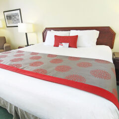 Отель Riviera Plaza and Conference Centre Calgary Airport Канада, Калгари - отзывы, цены и фото номеров - забронировать отель Riviera Plaza and Conference Centre Calgary Airport онлайн удобства в номере фото 2
