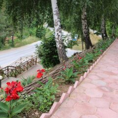 Отель Bedenski Bani Hotel Болгария, Чепеларе - отзывы, цены и фото номеров - забронировать отель Bedenski Bani Hotel онлайн фото 3