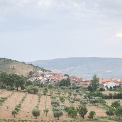 Отель Bela Vista Silo Housing фото 13