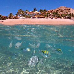 Отель Fiesta Americana Villas Los Cabos All Inclusive Мексика, Кабо-Сан-Лукас - отзывы, цены и фото номеров - забронировать отель Fiesta Americana Villas Los Cabos All Inclusive онлайн