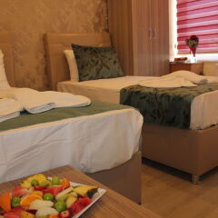 Gorur Hotel в номере фото 2