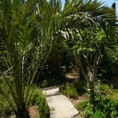Отель Agroturismo Es Palmer фото 3