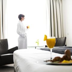 Отель Sanadome Hotel & Spa Nijmegen Нидерланды, Неймеген - отзывы, цены и фото номеров - забронировать отель Sanadome Hotel & Spa Nijmegen онлайн в номере
