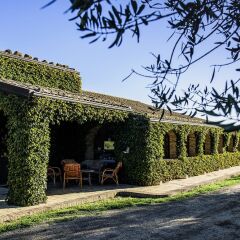 Отель Agriturismo Salemi Италия, Пьяцца-Армерина - отзывы, цены и фото номеров - забронировать отель Agriturismo Salemi онлайн фото 15