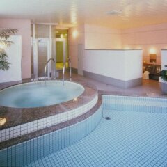 Hakuba Springs Hotel Хакуба бассейн
