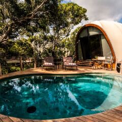 Отель Wild Coast Tented Lodge - All Inclusive Шри-Ланка, Тиссамахарама - отзывы, цены и фото номеров - забронировать отель Wild Coast Tented Lodge - All Inclusive онлайн бассейн