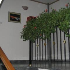Отель Voyager Bed & Breakfast Сербия, Нови Сад - отзывы, цены и фото номеров - забронировать отель Voyager Bed & Breakfast онлайн