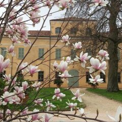 Отель Albergo Villa Alessia Кастель-д'Арио фото 11