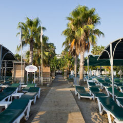 Отель Trendy Palm Beach - All Inclusive Сиде