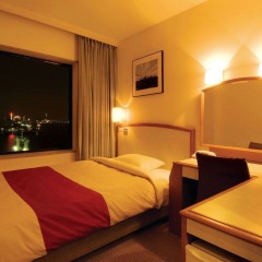 Bayside Hotel Azur Takeshiba Hamamatsucho комната для гостей фото 2