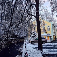 Отель Villa Basileia Чехия, Карловы Вары - отзывы, цены и фото номеров - забронировать отель Villa Basileia онлайн приотельная территория фото 2