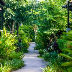 Отель Himaphan Boutique Resort Пхукет фото 8
