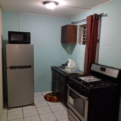 Rockhampton Retreat Guest House in Kingston, Jamaica from 198$, photos, reviews - zenhotels.com room amenities
