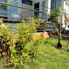 Отель Kim Minh Resort фитнесс-зал