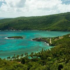 Отель Sugar Reef Bequia