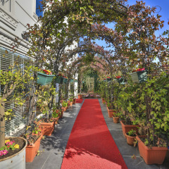 Malta Bosphorus Hotel Ortakoy фото 4