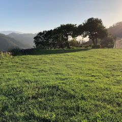 Отель Finca el Roque