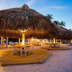 Отель Melia Caribe Tropical - Все включено Доминикана, Пунта Кана - 9 отзывов об отеле, цены и фото номеров - забронировать отель Melia Caribe Tropical - Все включено онлайн фото 10