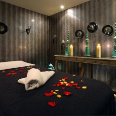 Отель Alpes Hôtel du Pralong спа