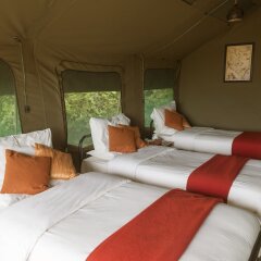 Julia's River Camp in Keekorok, Kenya from 307$, photos, reviews - zenhotels.com guestroom
