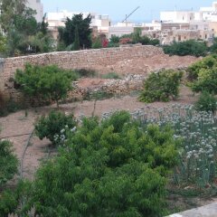 Отель Knights In Malta B&B фото 10