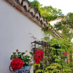 Отель Palacio Cobertizo De Santa Ines фото 8
