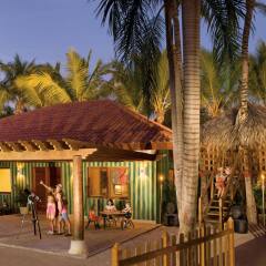 Отель Dreams Palm Beach Punta Cana - Luxury All Inclusive Доминикана, Пунта Кана - отзывы, цены и фото номеров - забронировать отель Dreams Palm Beach Punta Cana - Luxury All Inclusive онлайн гостиничный бар