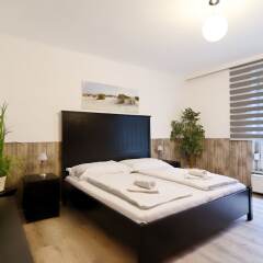 Апартаменты Manu Apartment Вена комната для гостей фото 3
