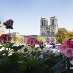 Отель Les Rives de Notre-Dame