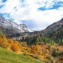 Отель Damiano's Gasthaus Zum Tschuggen Швейцария, Давос - отзывы, цены и фото номеров - забронировать отель Damiano's Gasthaus Zum Tschuggen онлайн