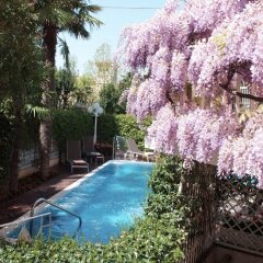 Hotel Milton Rimini с домашними животными